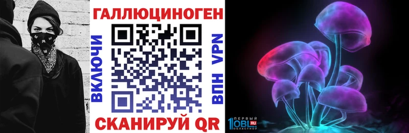 Галлюциногенные грибы Cubensis Псков